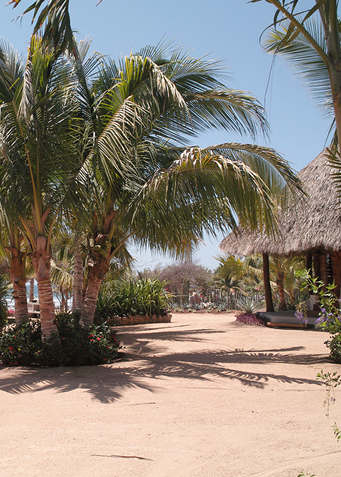 Trocones (via <a href="http://www.kamadevayoga.com/east-hampton/retreats/troncones-mexico.htm">kamadeva</a>)